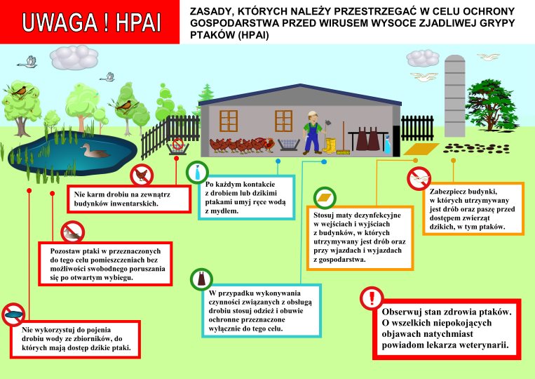 Komunikat Głównego Lekarza Weterynarii o ryzyku wystąpienia w Polsce wysoce zjadliwej grypy ptaków (HPAI) w sezonie jesienno-zimowym 2020/2021